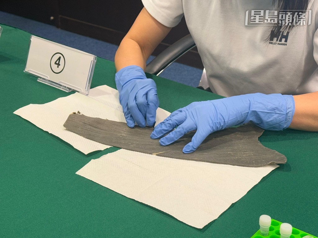 新技術只需抽取3至5毫米的鯊魚樣本作檢測。