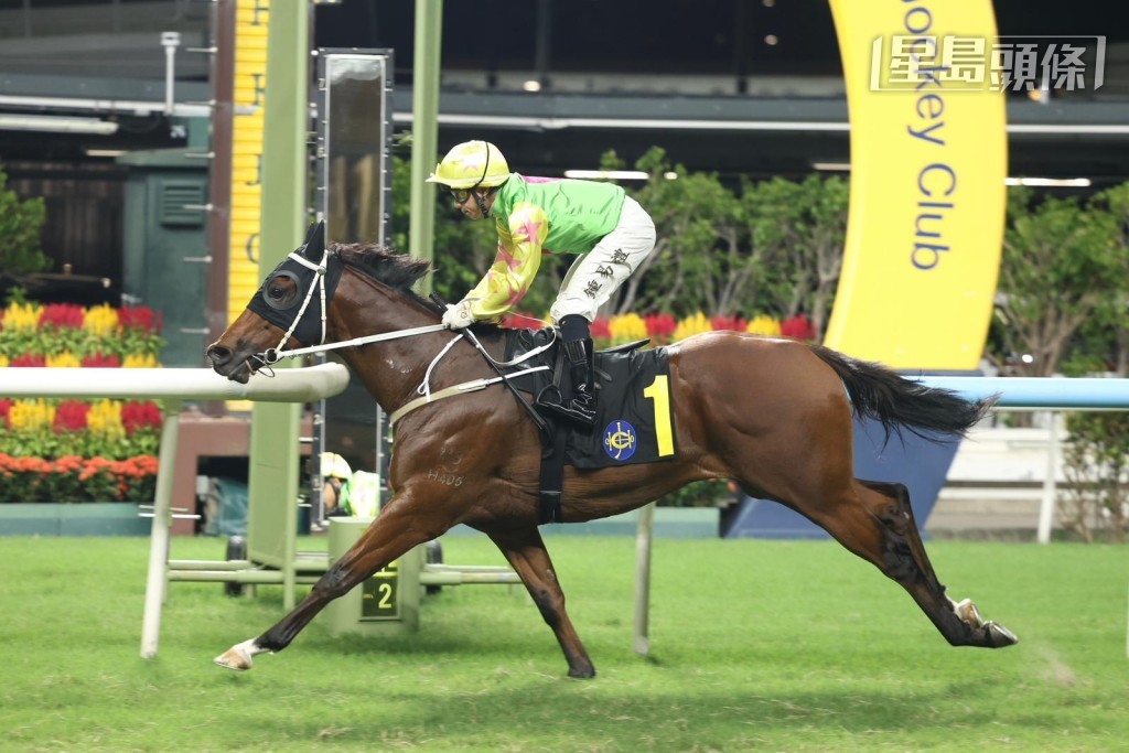 「勝萬金」今仗落四班跑由鍾易禮主轡，自然有望爭取佳績。