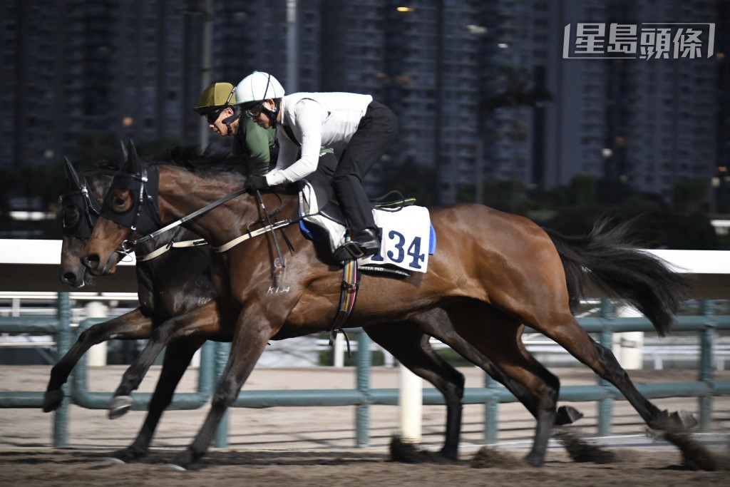 希斯目前有兩匹練馬師團體馬，分別是「友愛心得」和「嘉應光彩」(圖)。