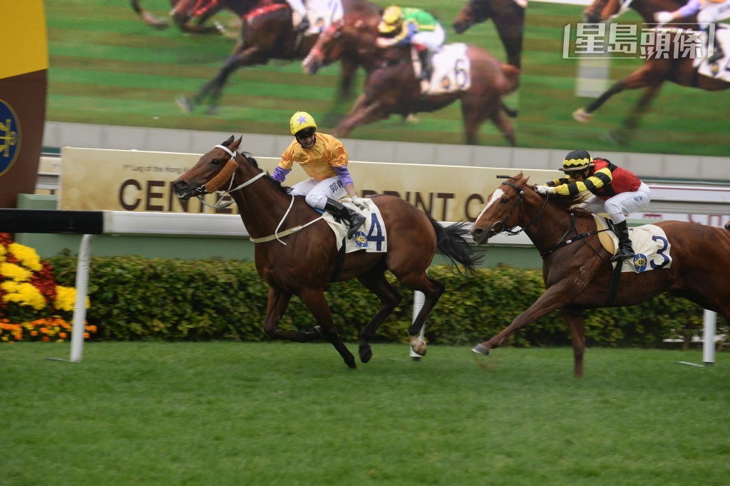 「幸福」系掌舵人黃凱汶在港養馬多年，養過「幸福指數」(圖)、「幸福掌聲」、「幸福至上」、「幸福人民」、「幸福笑容」等多駒。