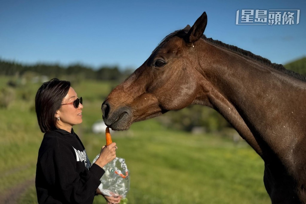 鄧詠琪分享了餵「魅力知友」吃紅蘿蔔的相片。 鄧詠琪分享了餵「魅力知友」吃紅蘿蔔的相片。