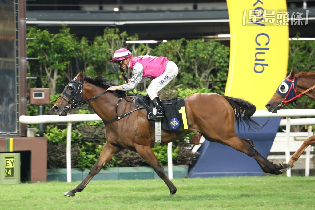 上周三谷戰潘頓分別以「勁好運」、「晨曦儷人」及「駿步騰飛」(圖) 中三元。