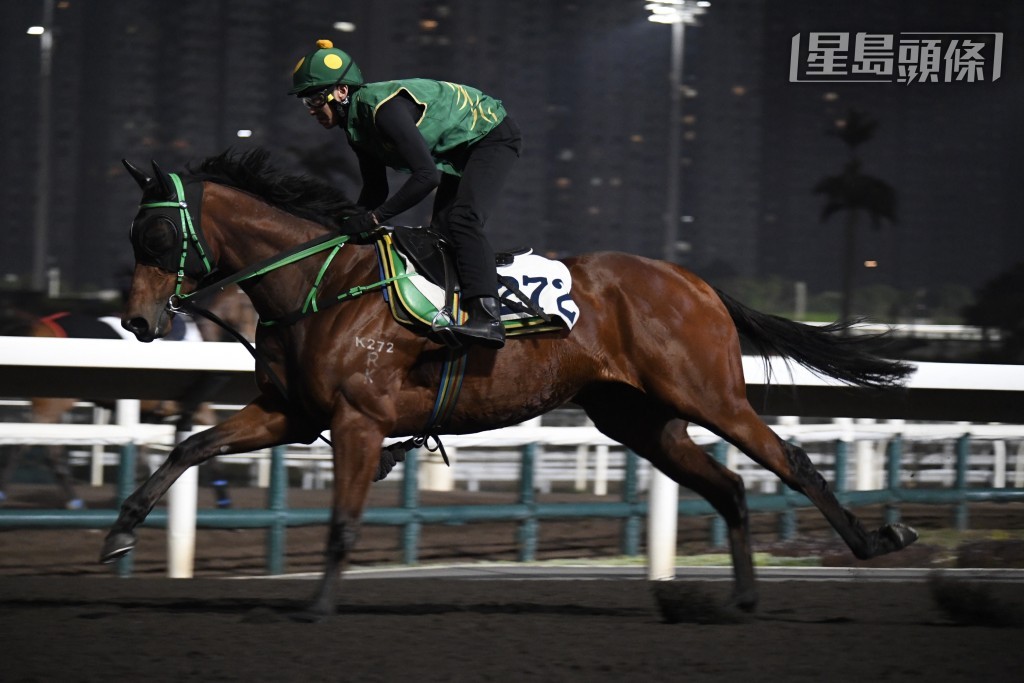 「金多囍」戴眼罩及頭罩由助手跳兩段，仍帶馬定基但甚規矩，墜手現暗火，神態生猛狀態勇。