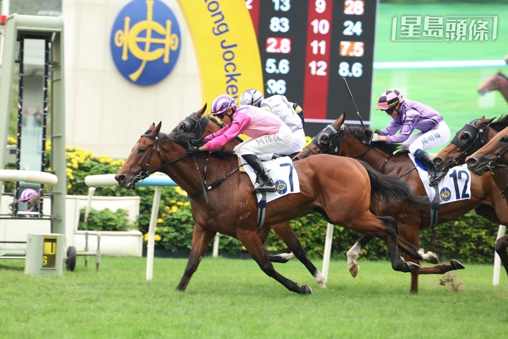 吕健威昨日凭「活力拍档」(图) 取得季内第四十一场头马，马房成绩优秀。