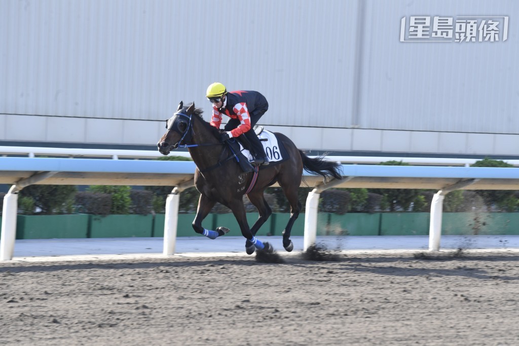 周三賽事編排了八場，潘頓共獲五匹坐騎上陣，當中頭場「友得盈」（圖)，再度與丁冠豪合作。