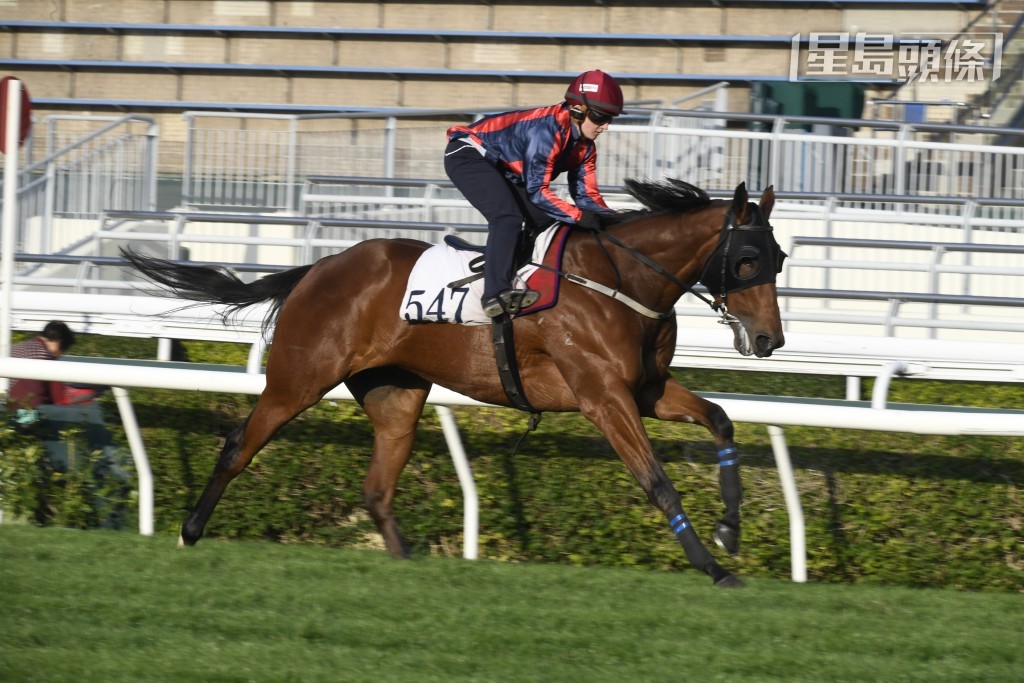 「捷威」今战交由潘顿挂帅，成绩如何？