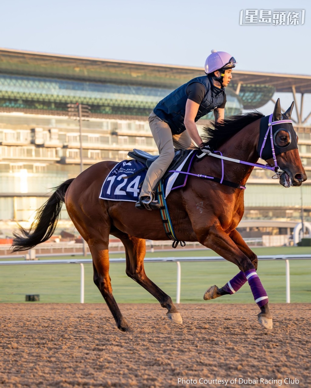 「升泷驹」在杜拜出操备战超级星期六赛马日。
