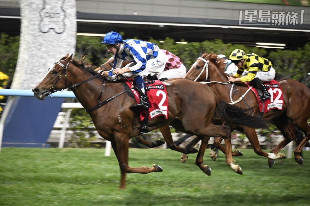 「風雲武士」(圖) 今戰排二檔起步，而第二場的「決一劍」排三檔起步，能否再創佳績？