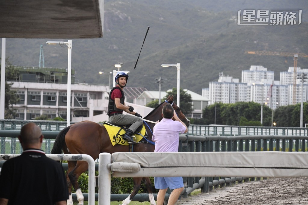 今早莫雷拉策騎「星運少爵」出隧道口,準備操練時,方嘉柏一早站在隧道口守候,莫雷拉笑笑口把馬鞭拋給方嘉柏,場面搞笑。 今早莫雷拉策騎「星運少爵」出隧道口,準備操練時,方嘉柏一早站在隧道口守候,莫雷拉笑笑口把馬鞭拋給方嘉柏,場面搞笑。