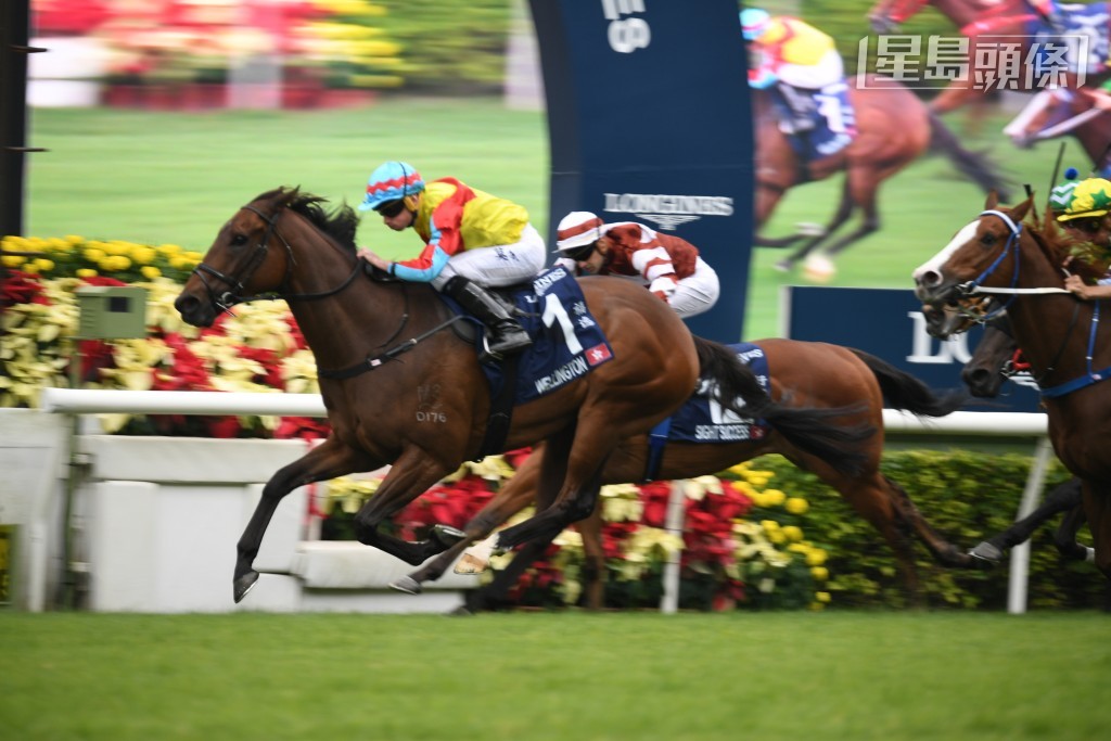 「福逸」(圖) 是前練馬師高伯新的代表作之一,馬兒在港累積十二場頭馬,包括一級賽香港短途錦標。 「福逸」(圖) 是前練馬師高伯新的代表作之一,馬兒在港累積十二場頭馬,包括一級賽香港短途錦標。