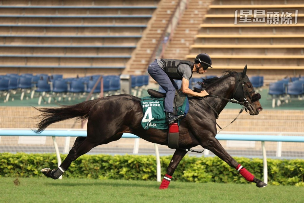 「六月豪取」运回检役马房后，立即先后两次检查，暂时并无大碍，但马会将密切留意其最健康状况。
