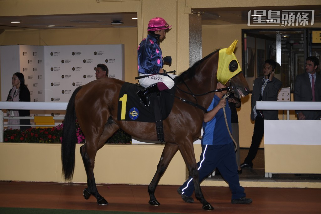 第三场    「智胜攻略」    不承认    由12月23日星期二开始停赛，直至12月28日星期日才可再次出赛（两个香港赛马日）