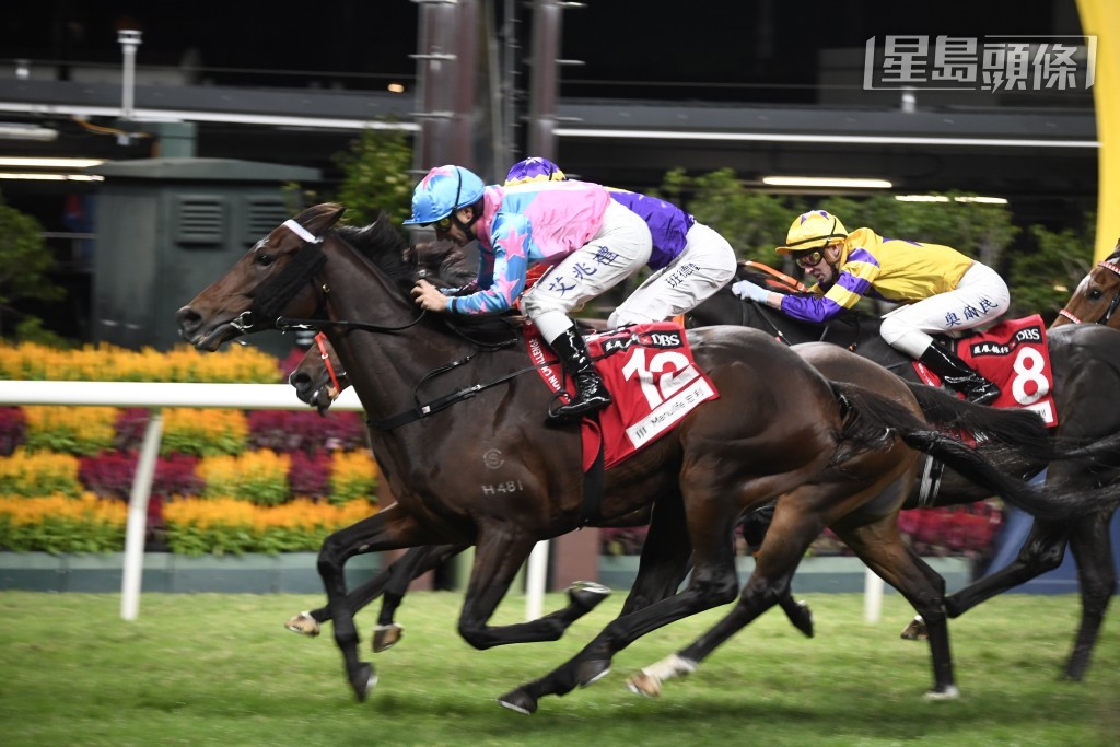 「勁好運」(圖) 馬主李子彬曾經提及，馬兒喜歡跑鬆軟的快活谷，若遇快步速更合發揮。