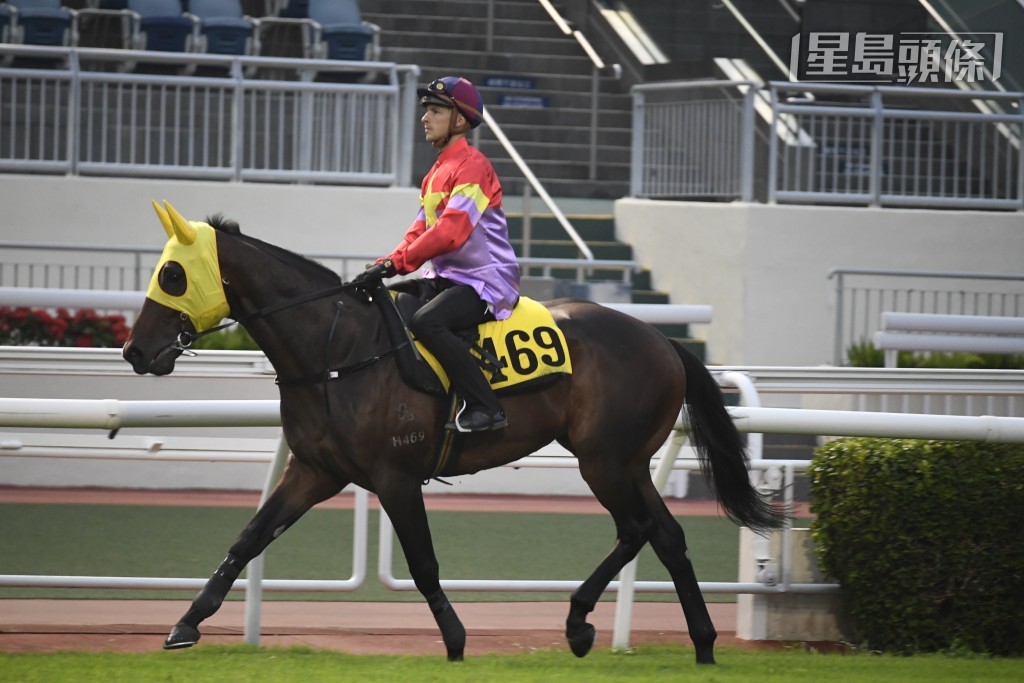 「志敏飞凡」周日出战第二场田草一千米。