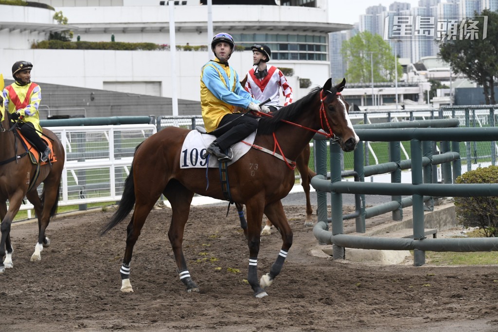 周三晚第一場「神燦金剛」和第五場「神異金剛」(圖) 分頭出擊，這兩駒來港後需時適應水土，但評分已調整不少，或有力反彈。