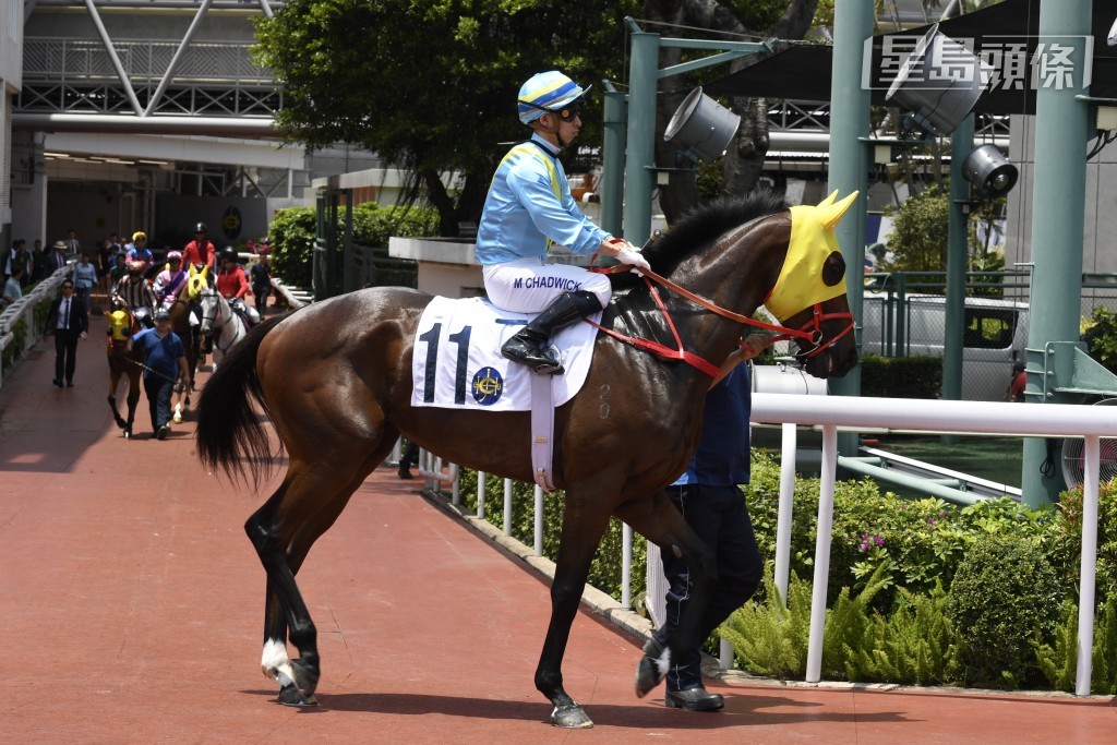本賽日第一場「水龍頭」上仗轉倉初出以第十一名過終點，今戰成績如何？