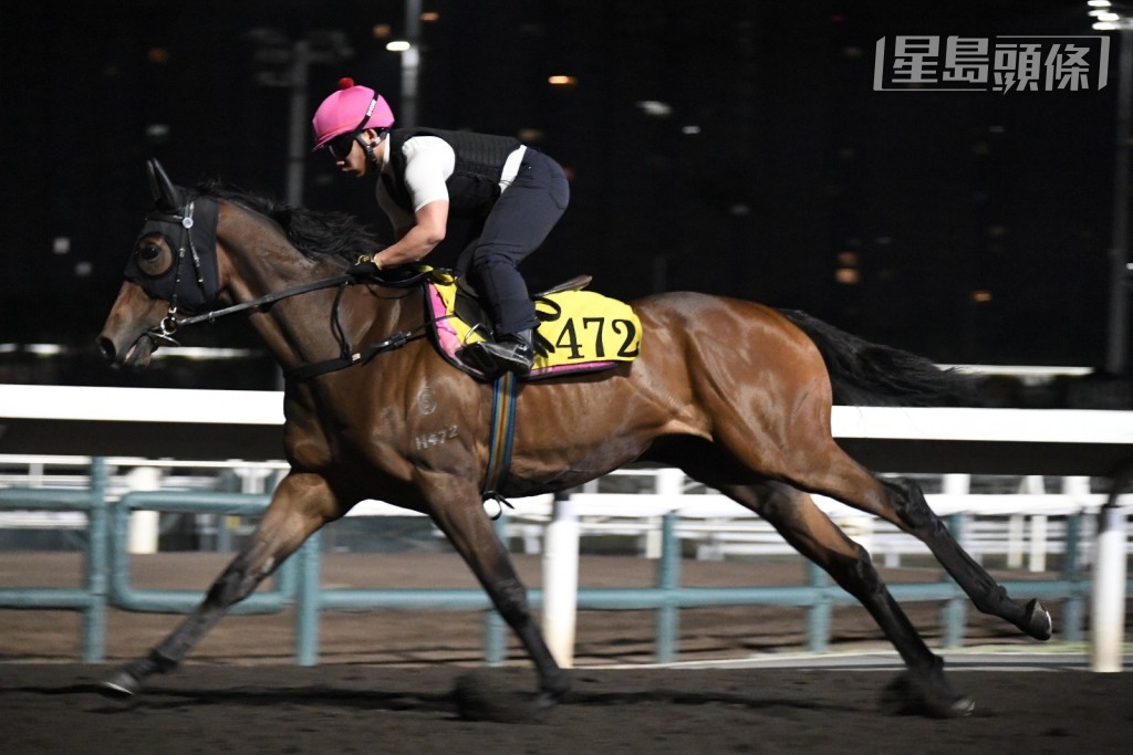 希威森操「同心」(圖)和助手操「江南勇士」時,威哥都非常緊張高舉遠望鏡吼實,這兩駒周三晚均會在谷草出賽,不妨留意。 希威森操「同心」(圖)和助手操「江南勇士」時,威哥都非常緊張高舉遠望鏡吼實,這兩駒周三晚均會在谷草出賽,不妨留意。