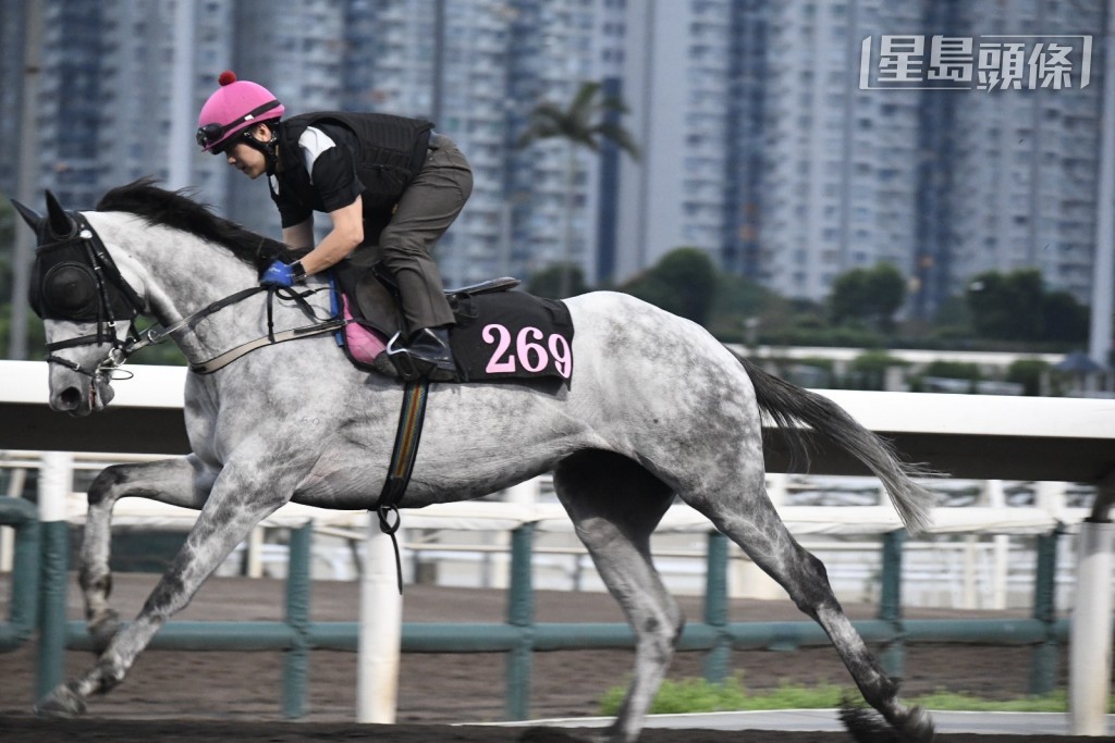 助手操「龙又生」(J269)。