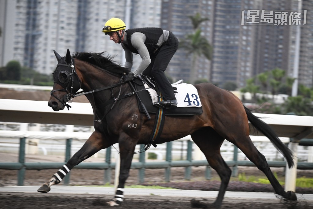 潘頓今朝又換帽笠，用了一頂黃色帽操馬，首匹出試馬是「拉合爾」。