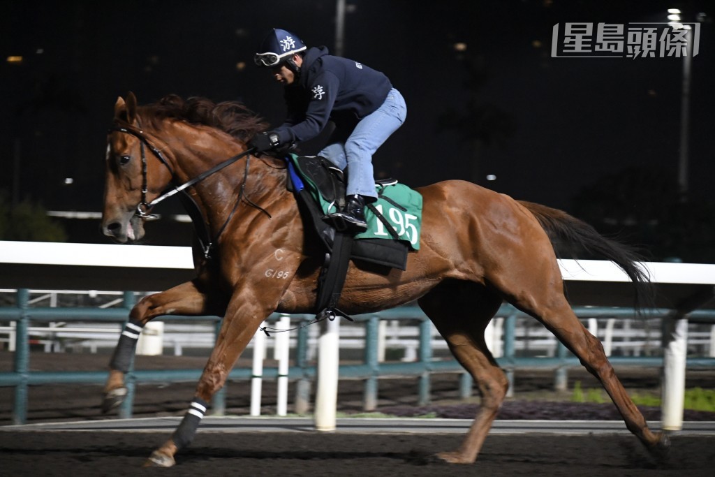 「連連歡呼」(圖) 今朝依舊安排快跳考驗，足見此馬體力超級充沛，當然阿游跟出跟入，也是另一矚目舉動。(資料圖片)