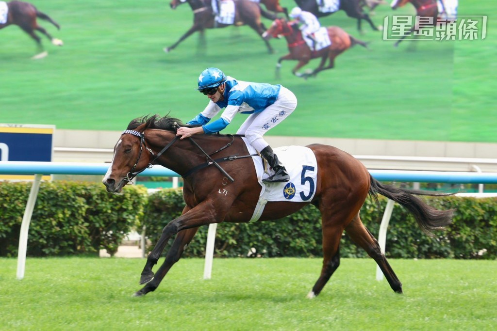 「幸运有您」马主梁文谦近期养马运不错，上周日他名下另一匹爱驹「幸运奇兵」(图) 打开在港胜利之门，