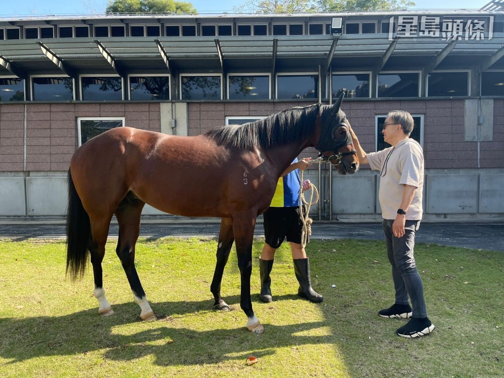 文寿强希望两匹现役马「双星报喜」和新马L421 (图) 健健康康,开开心心地竞赛。 文寿强希望两匹现役马「双星报喜」和新马L421 (图) 健健康康,开开心心地竞赛。