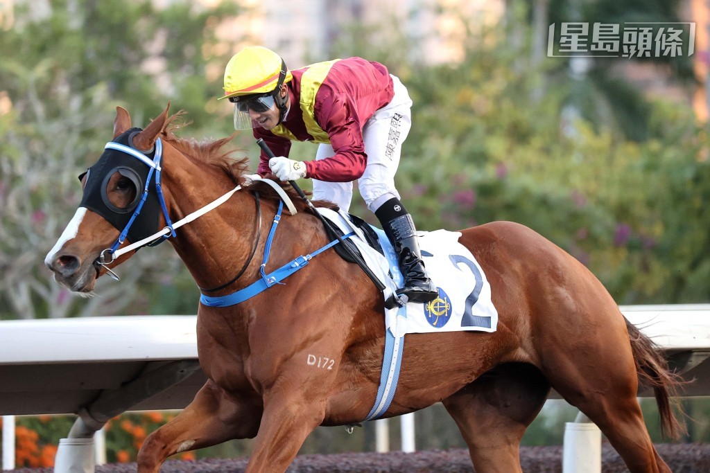 他與妻子梁劉柔芬及兒子在港多年來養過不少「勇士」系馬，如「綠勇士」、「勁力勇士」、「活力勇士」、「精靈勇士」（圖）、「勁力勇士」等多駒。