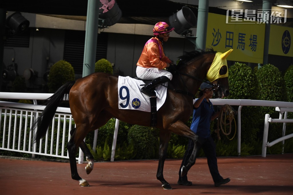 「劲沙尘」今战成绩如何？