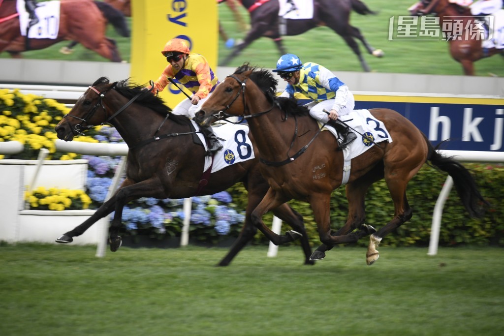 「直線力山」(內) 今戰成績如何？