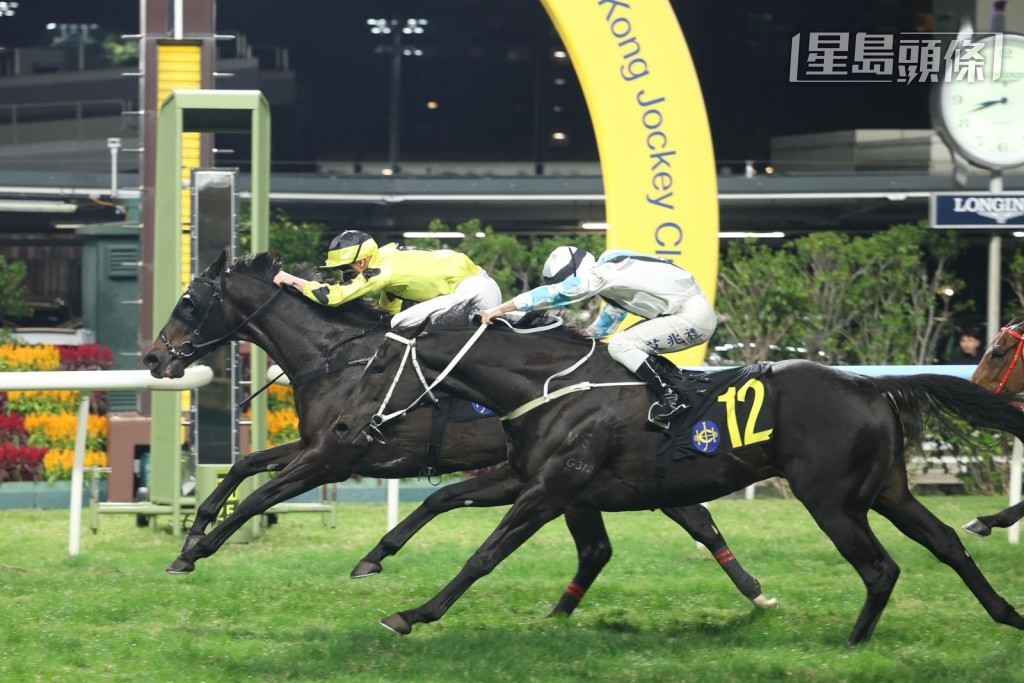 岑健龙名下的「蜜蜜送」(图)，将于周三晚谷草上阵。