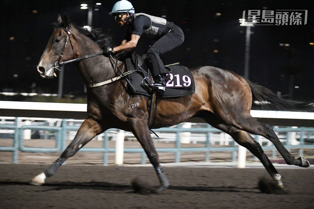 今戰「飲杯」(圖) 和「志滿同行」都係希斯馬房餐士馬，跟紅頂白可追捧，