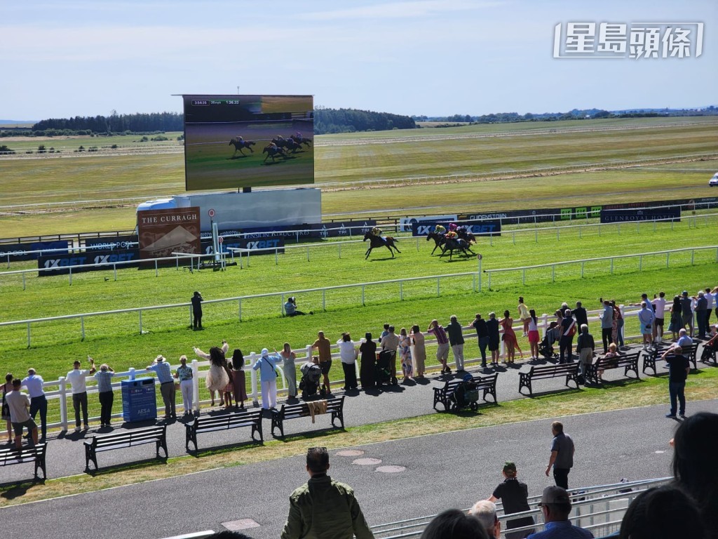 賽馬天下50周年盃,勝出頭馬為岳本賢馬房的Kirkland Sioux。 賽馬天下50周年盃,勝出頭馬為岳本賢馬房的Kirkland Sioux。