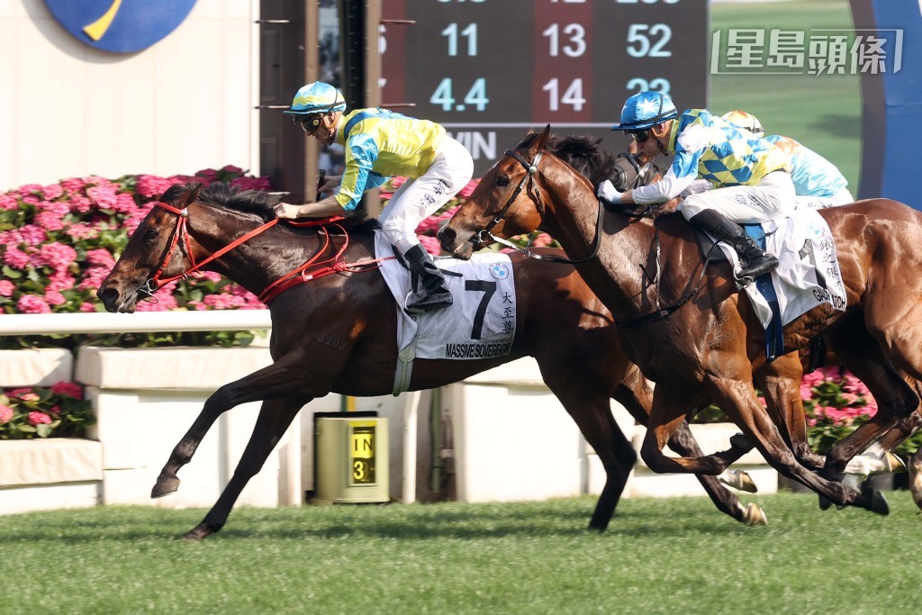 「大至尊」於前年在潘頓胯下以精彩姿態揚威寶馬香港打吡大賽,其後經歷了一段艱難時期,曾多次接受手術,一對前球節及左後球節均植入螺絲。 「大至尊」於前年在潘頓胯下以精彩姿態揚威寶馬香港打吡大賽,其後經歷了一段艱難時期,曾多次接受手術,一對前球節及左後球節均植入螺絲。