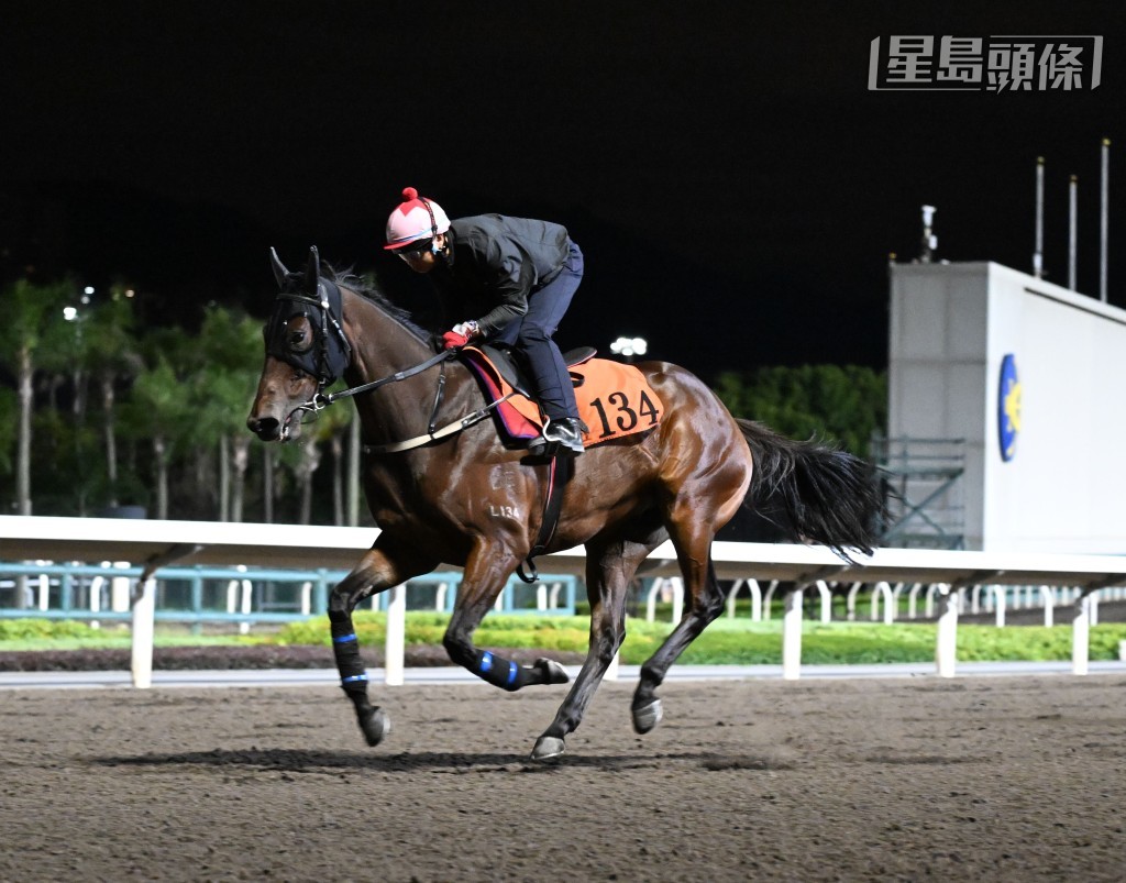 周三晚谷草賽事，出爭第三場四班一哩的「大文豪」(L134) 昨早補課。