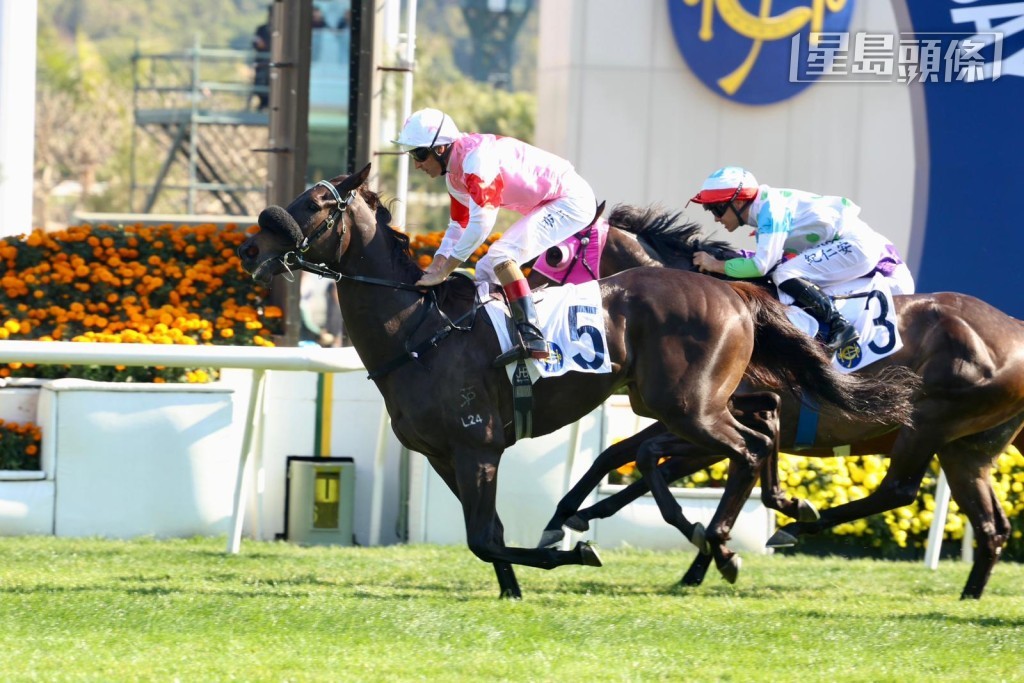 本賽日若第八場「紫荊拼搏」及第九場「都靈冠星」(圖) 賠率是十倍或以下，可予留意。