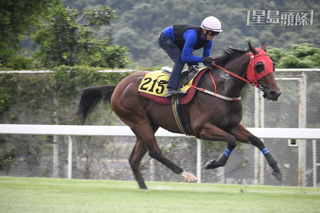 沈集成與聲仔就「喜蓮勇感」(圖) 傾了好長時間，計馬新勝猶勇近況出色，難得今仗分頭又好，寶尾追得過。