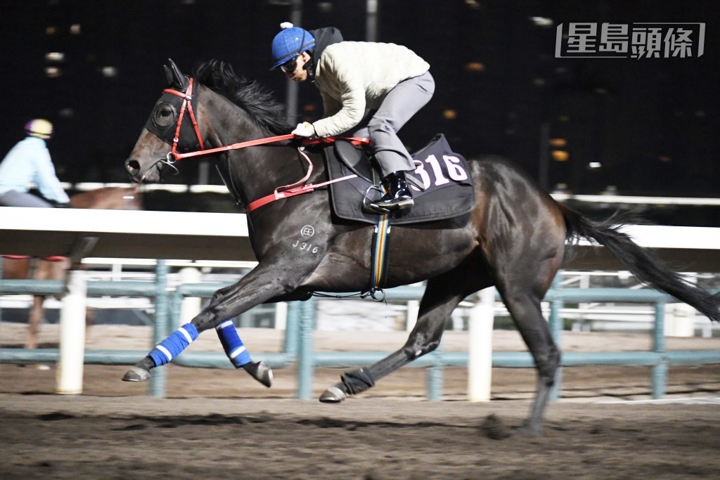 「天天同樂」今晨一貫交出急勁走勢，最吸引向來頭岳岳毛病也改善不少。