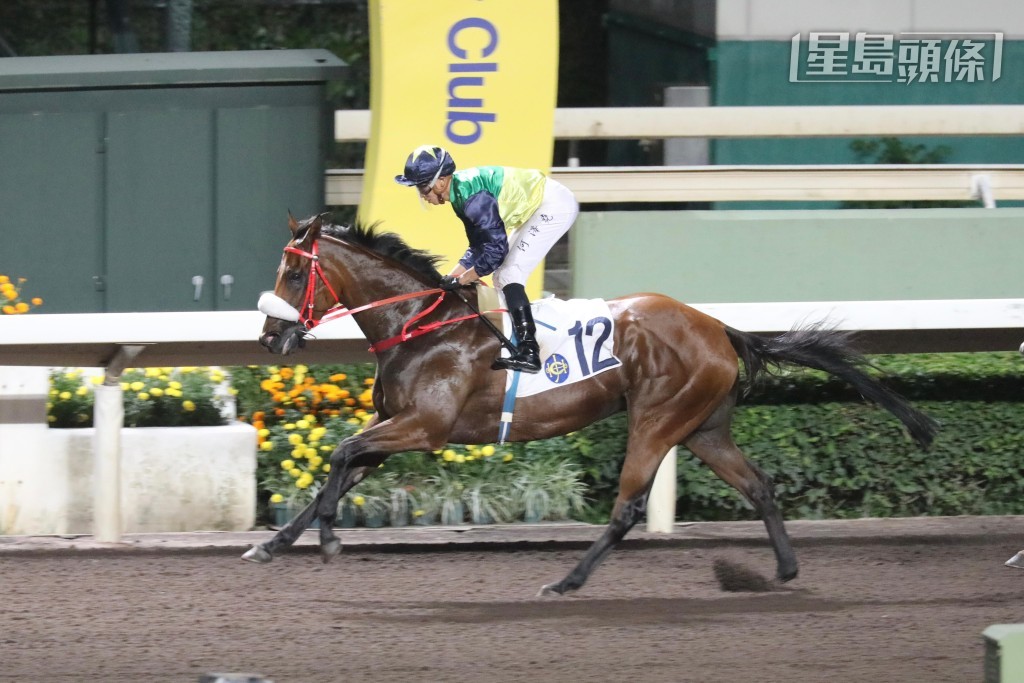 泥地好手「年少有威」有意出戰明年三月的杜拜泥地大賽。