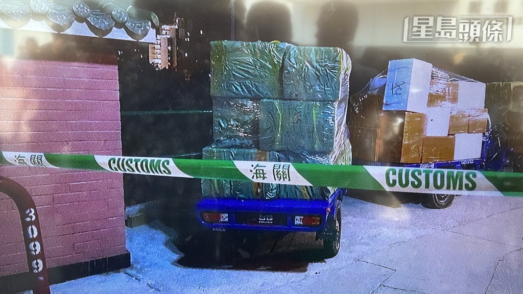 海關檢獲走私大批龍蝦。蔡楚輝攝 海關檢獲走私大批龍蝦。蔡楚輝攝