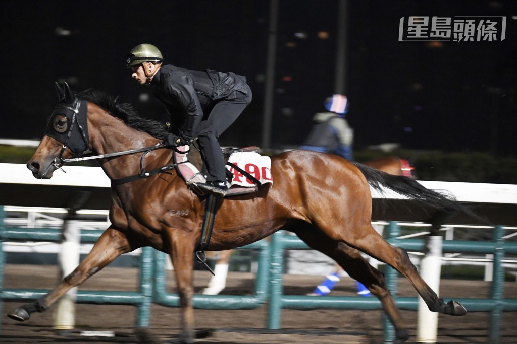 「金發盛世」人馬曾勝，今朝希威森也親操。