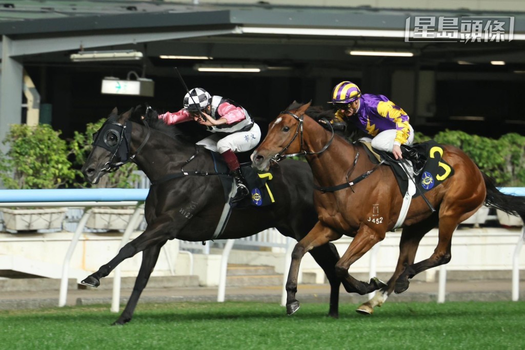 「美麗」系馬的陣容不錯,「特別美麗」(內)、「一起美麗」及「同樣美麗」均是餐士馬,有力為郭家建功。 「美麗」系馬的陣容不錯,「特別美麗」(內)、「一起美麗」及「同樣美麗」均是餐士馬,有力為郭家建功。