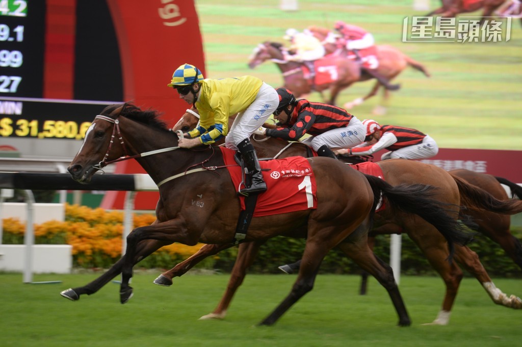 「確好勁」馬主程李愛玲的丈夫程凱信，曾經養過前馬王「明月千里」(圖)。