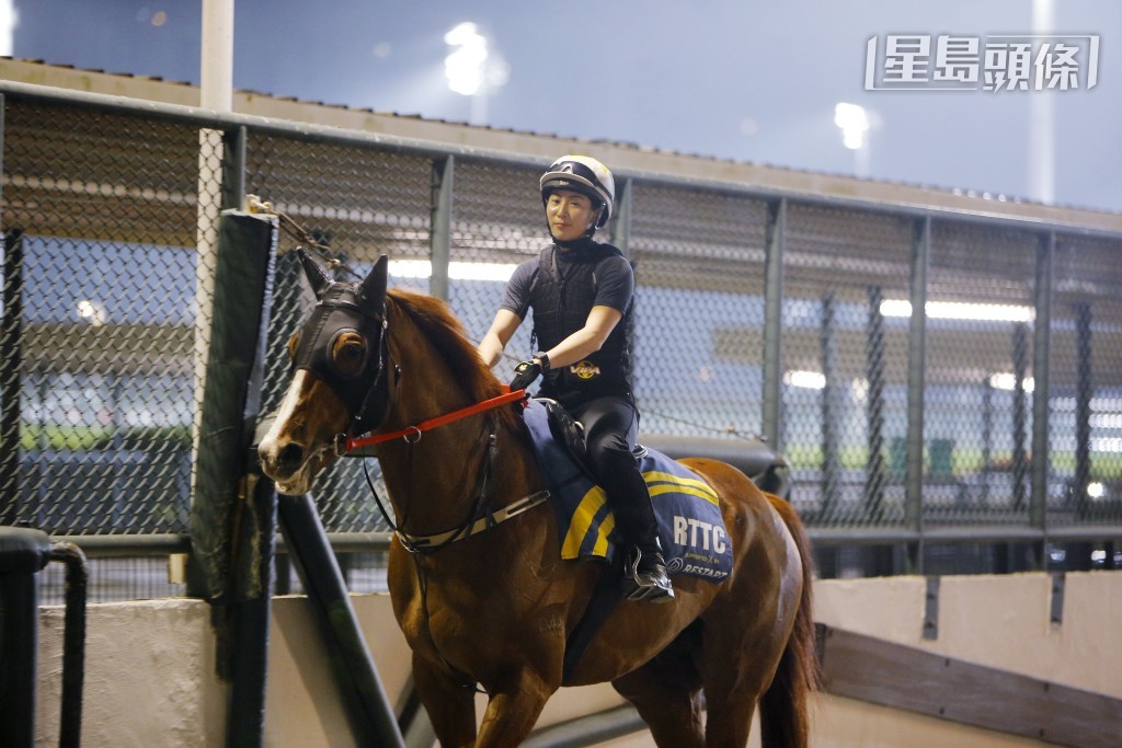 見習騎師黃寶妮傷癒復出，在今日（3月22日）打吡大賽日子恢復披甲上陣。