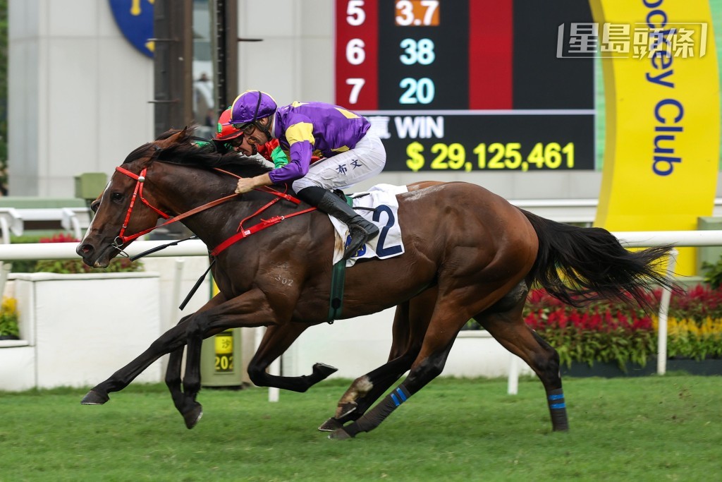  「骄阳明驹」将是蔡约翰扬威今届中银香港私人银行马会短途锦标（1200米二级赛）的主要希望。