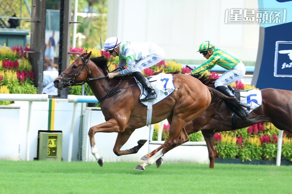 「光年程祥」今季狀態甚佳,前仗贏馬表現理想,今次霍宏聲將嘗試早段尋找遮擋留力,希望有助馬兒爭勝。 「光年程祥」今季狀態甚佳,前仗贏馬表現理想,今次霍宏聲將嘗試早段尋找遮擋留力,希望有助馬兒爭勝。