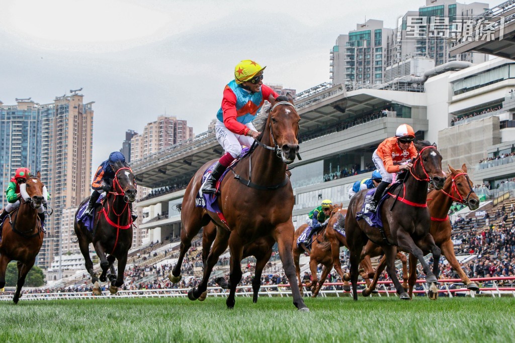 若「嘉應高昇」成功囊括全部三關賽事,可為其馬主帶來額外五百萬港元特別獎金。 若「嘉應高昇」成功囊括全部三關賽事,可為其馬主帶來額外五百萬港元特別獎金。
