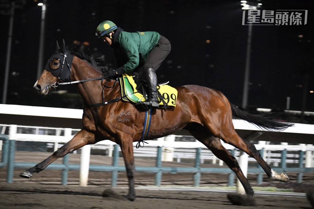 「錶之銀河」戴頭罩由助手拍「飛鷹翺翔」跳兩段，不再急口快慢由人，身色都省鏡，空前吸引。