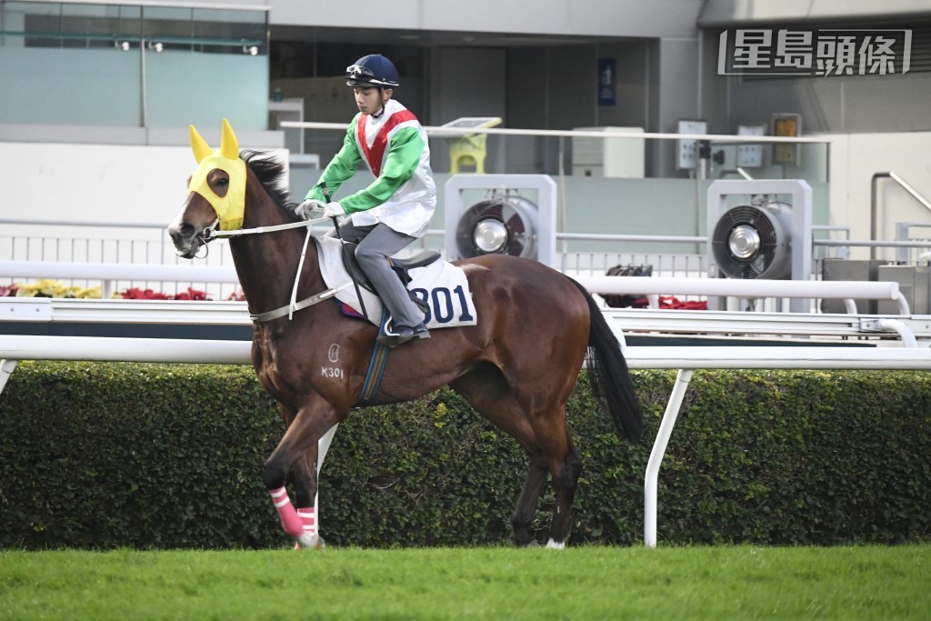 今次「宝成智好」将会转场上阵，初跑沙田，或可试出彩虹。