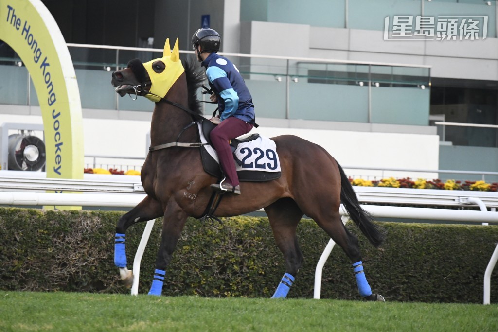 「三強」今晚出爭第四場四班千二米，相信屆時幾位馬主會互相打氣，力撐兩駒前列歸來。