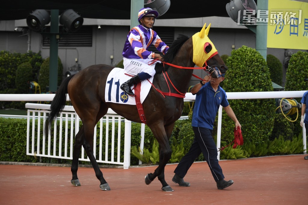 「榮駿大道」(圖) 上仗姍姍來遲得第四，今戰三班攻堅，還是再減分於四班上陣再算？